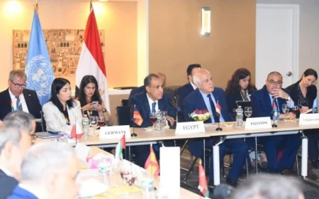 لقاء مهم لوزير الخارجية بمقر البعثة المصرية في الأمم المتحدة لبحث إعمار غزة