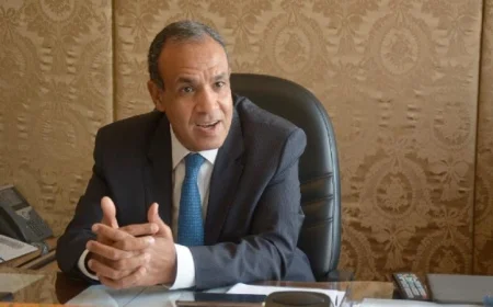 مؤتمر حل الدولتين يحدث وسط تحديات كارثية في غزة وفقاً لعبدالعاطي