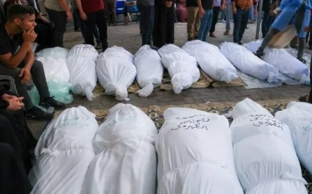 زيادة حصيلة شهداء غارات الاحتلال الإسرائيلي على غزة لتصل إلى 65 ألفا و344 شهيدا