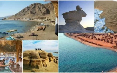 أفضل الكليبات الغنائية العربية التي تعزز من جذب السياحة إلى مصر