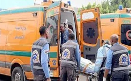 إصابة سبعة أشخاص في تصادم مروري على طريق القاهرة الإسكندرية الصحراوي بالبحيرة