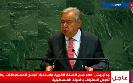 جوتيريش يشيد بتأييد دولي واسع لحل الدولتين