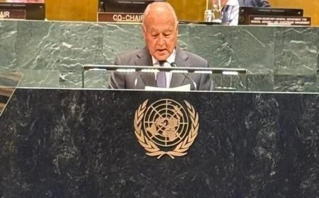 أبو الغيط يحث الدول المعترفة بفلسطين على تحمل مسئولية حماية الشعب الفلسطيني