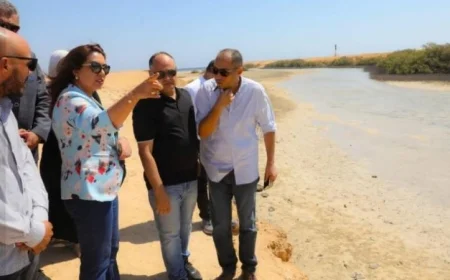 عوض تدعو لتسريع التحصيل الإلكتروني لتذاكر الزيارة في محمية رأس محمد