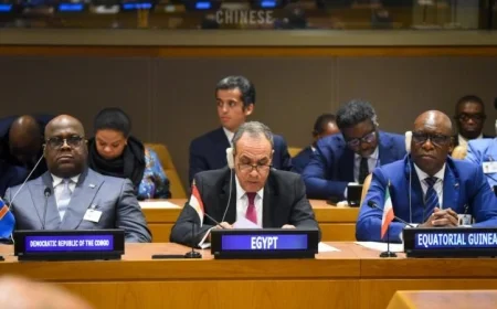 مشاركة وزير الخارجية في جلسة مجلس السلم والأمن الأفريقي تعزز التعاون المشترك