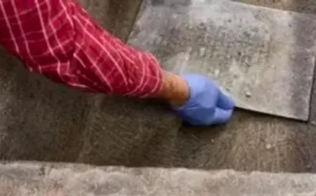 اكتشاف كبسولة زمنية من عام 1822 في ألمانيا