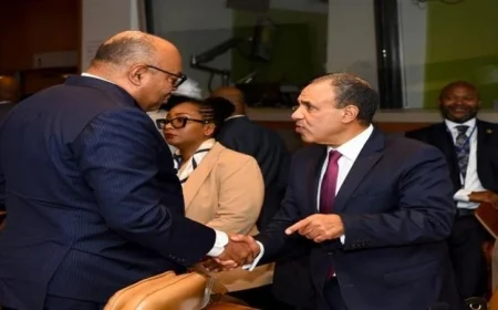 وزير الخارجية يناقش تعزيز العلاقات الثنائية مع نظيره التنزاني