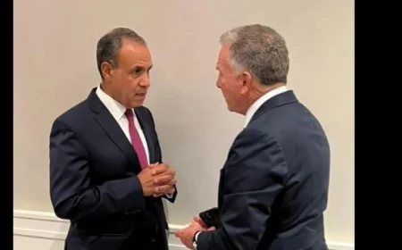 وزير الخارجية يؤكد: مصر تثق في دور ترامب لإنهاء الحرب في غزة