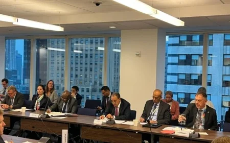 وزير الخارجية يعلن تأييد مصر لسيادة ووحدة السودان وحماية أراضيه