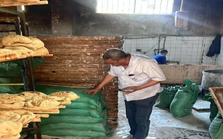 تموين الإسماعيلية يعزز جهود الرقابة على الأسواق ويسجل ١١٥ مخالفة تموينية