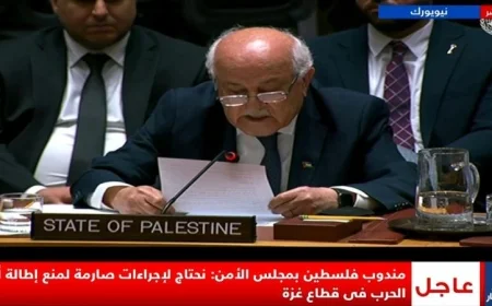 رياض منصور يؤكد في مجلس الأمن: الاعتراف بفلسطين حق مكتسب وليس فضل