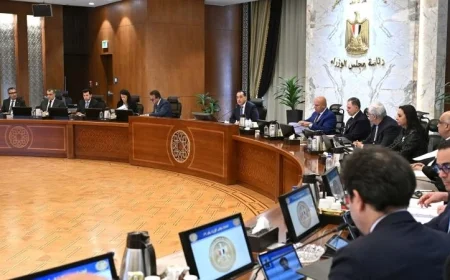 الوزراء يوافقون على إنشاء ثلاث مشروعات بنظام المناطق الحرة الخاصة