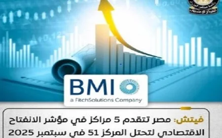 مصر تشهد تحسناً في مؤشر الانفتاح الاقتصادي وفقاً لتقرير فيتش