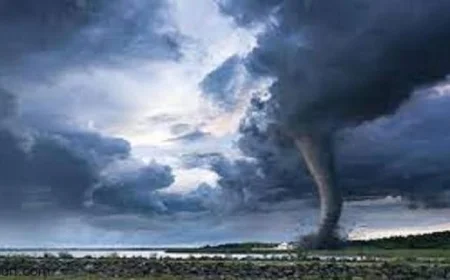 إعصار راجاسا يضرب هونج كونج ويتسبب في إصابة 50 شخصًا