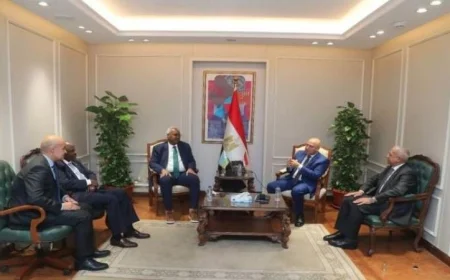 مصر تتعهد بدعم قوي لجهود التنمية في جيبوتي وتأمين مستقبل مشرق