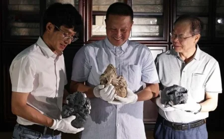 اكتشاف جمجمة تعود لمليون عام يكشف أسرار جديدة حول تطور البشرية