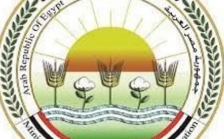 الزراعة تؤكد عدم صحة إشاعات وجود طماطم في الأسواق مرشوشة بمادة الإيثريل