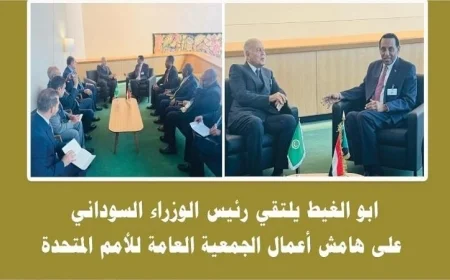 أبو الغيط يؤكد التزام الجامعة العربية بسيادة ووحدة السودان الثابتة