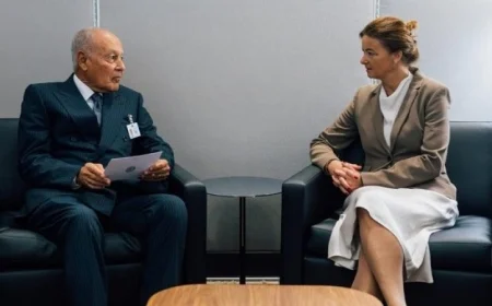 أبو الغيط ووزيرة خارجية سلوفينيا يجددان معارضتهما لمخطط احتلال غزة من قبل إسرائيل