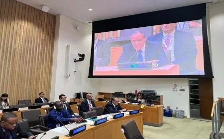 مشاركة عبد العاطي في الاجتماع التنسيقي لوزراء خارجية منظمة التعاون الإسلامي