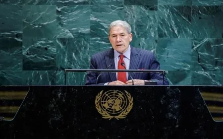 وزير خارجية نيوزيلندا يعلن: لا اعتراف بدولة فلسطين الآن