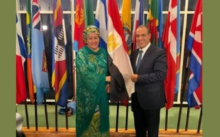 وزير الخارجية يشيد بمساهمة الأمم المتحدة في تعزيز السلم والأمن والتنمية العالمية