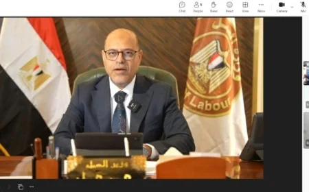 وزير العمل يعلن عن توقيع مذكرة تفاهم مع اتحاد الصناعات في ولاية بافاريا الألمانية لتعزيز التعاون الاقتصادي