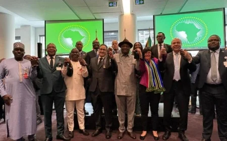 تمثيل إفريقيا في مجلس الإيكاو: مسؤولية جماعية وطموحات متجددة