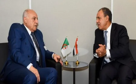 وزير الخارجية يشدد على دور اجتماعات الآلية الثلاثية في تعزيز التعاون بين دول جوار ليبيا