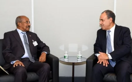 وزير الخارجية يشدد على قوة العلاقات التاريخية بين مصر وإريتريا