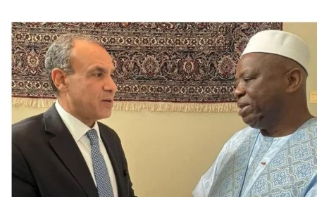 وزير الخارجية يعلن التزام مصر بتعزيز روابطها التاريخية مع غينيا