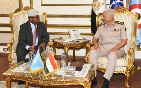 شاهد بالفيديو: وزير الدفاع يناقش مع نظيره الصومالي تعزيز التعاون العسكري