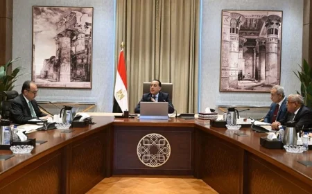 رئيس الوزراء يواصل متابعة جهود تطوير وإعادة هيكلة شركات الغزل والنسيج لتحسين الأداء الاقتصادي