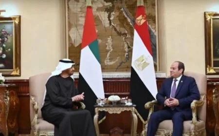 الرئيس الإماراتي يثني على التحولات الكبيرة في مناخ الاستثمار بمصر