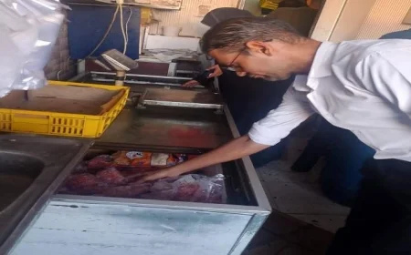 المنوفية تشهد ضبطًا لأكثر من نصف طن من اللحوم والأسماك الفاسدة غير صالحة للاستهلاك الآدمي