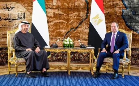 شاهد بالصور: السيسي يعلن التزام مصر بتسهيل الاستثمارات الإماراتية