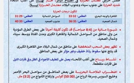 توقعات الأرصاد: طقس حار نهارًا ومعتدل ليلًا غدًا في القاهرة بدرجات حرارة تصل إلى 33