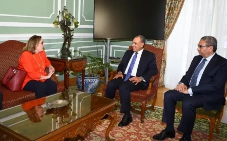 وزير الخارجية يسلط الضوء على أهمية دور القوة متعددة الجنسيات في استقرار سيناء