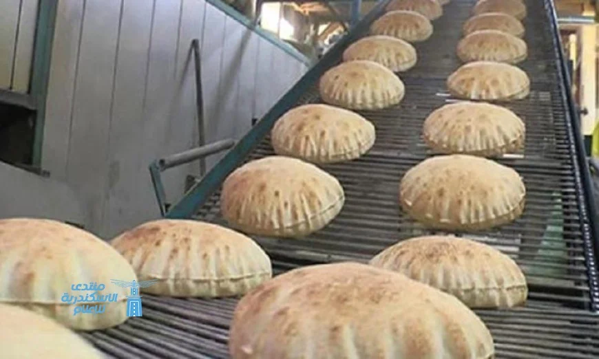 وزارة التموين تؤكد نفي شائعات صرف الخبز المدعم بالطرق الورقية رسميا
