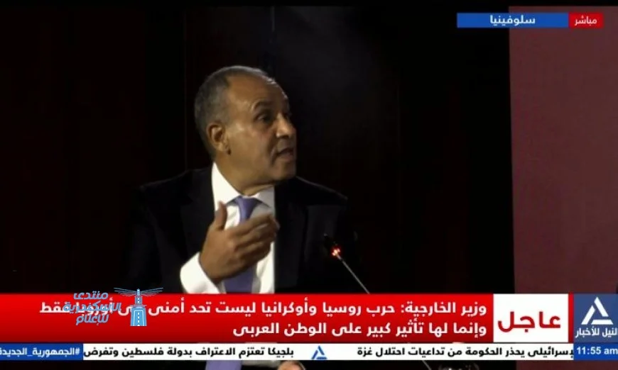 وزير الخارجية: العالم يتجاهل الإبادة الجماعية في غزة