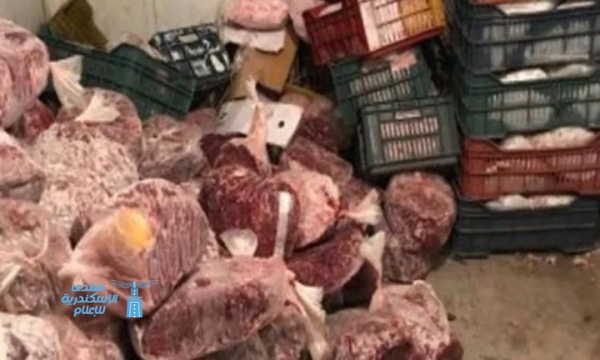 ضبط 372 طنًا من اللحوم والدواجن والأسماك الفاسدة في أغسطس الماضي