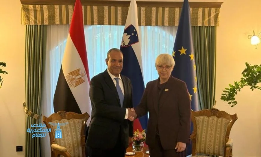 وزير الخارجية يبعث برسالة تحية من الرئيس السيسي إلى رئيسة سلوفينيا