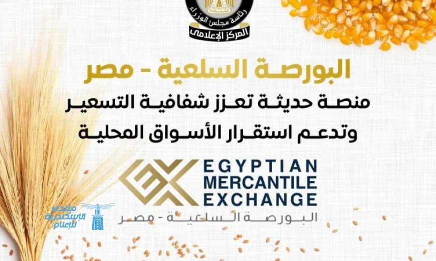 البورصة السلعية تعزز الشفافية في التسعير وفقًا للمركز الإعلامي للوزراء