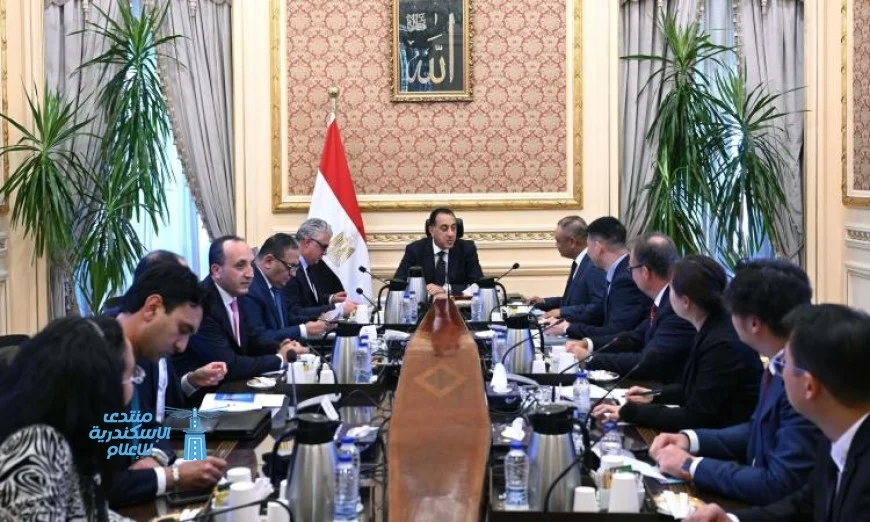رئيس الوزراء يعقد اجتماعًا هامًا مع رئيس شركة إيليت سولار الصينية