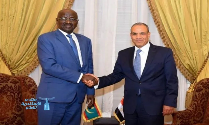 وزير الخارجية يعقد اجتماعًا مع نظيره الموريتاني للمطالبة بوقف العدوان على غزة
