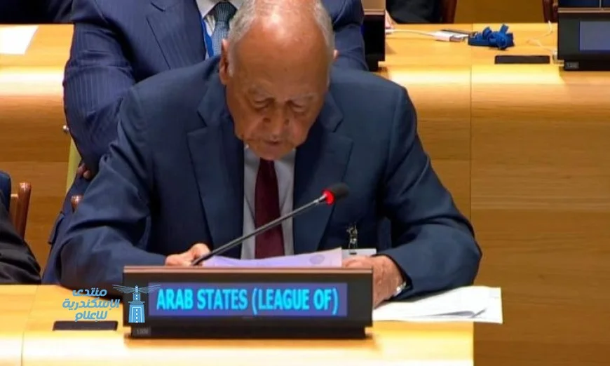 اتفاق عربي يتفق على وقف العدوان ضد الشعب الفلسطيني وفق تصريحات أبوالغيط