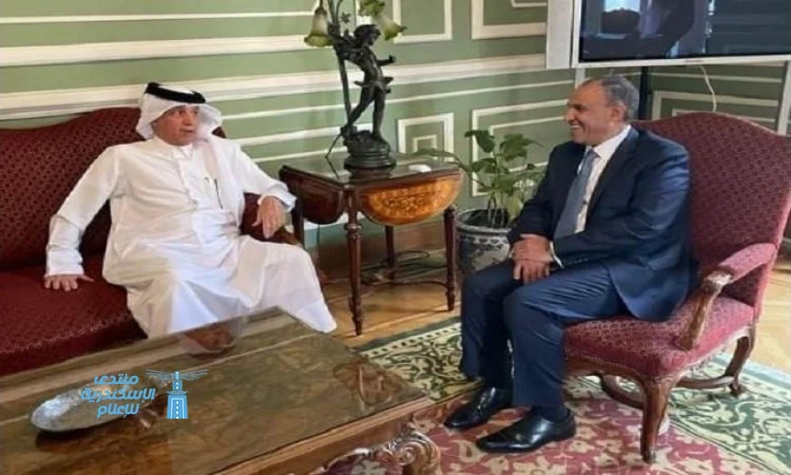 مصر وقطر تتعهدان بتعزيز التعاون لوقف العدوان الإسرائيلي على غزة