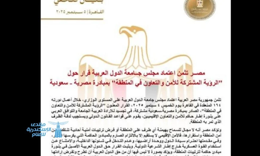 مصر تشيد بتبني الجامعة العربية قرار رؤية موحدة لأمن المنطقة