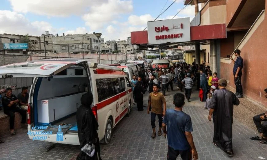 ارتفاع حصيلة الشهداء إلى 48 فلسطينيا جراء هجمات الاحتلال الإسرائيلي على غزة منذ بزوغ الفجر اليوم