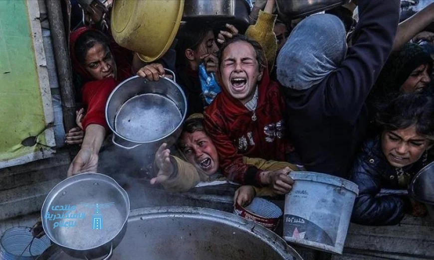 الأمم المتحدة: إسرائيل تتحدى القانون الدولي وتتسبب في موت وتجويع الفلسطينيين